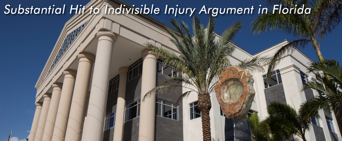 Substantial Hit to Indivisible Injury Argument in Florida